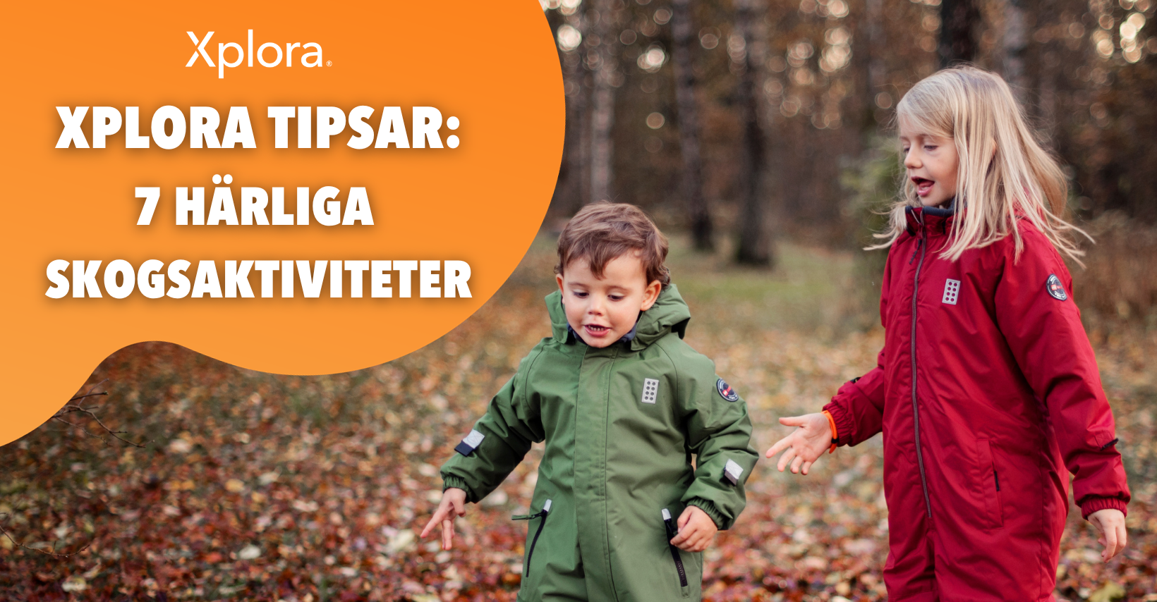 Skogsaktiviteter för hela familjen