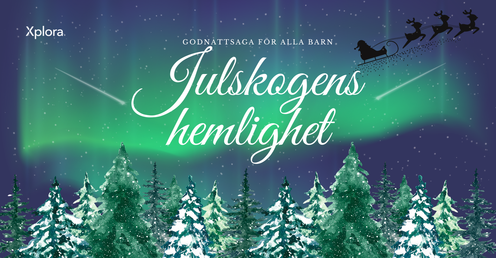 julskogens hemlighet
